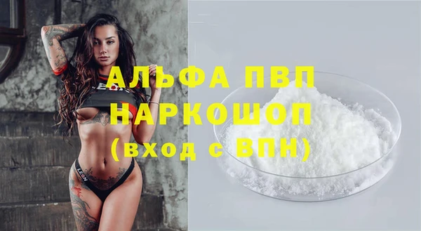 стаф Магадан