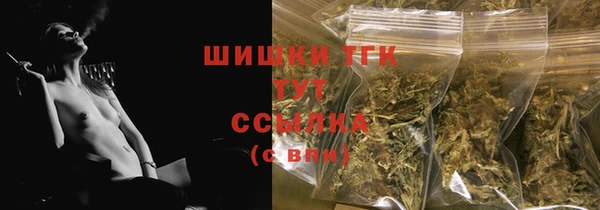 стаф Магадан