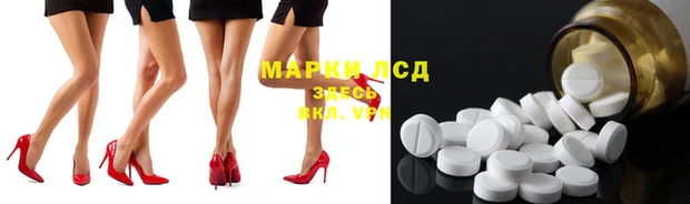 ECSTASY Магас