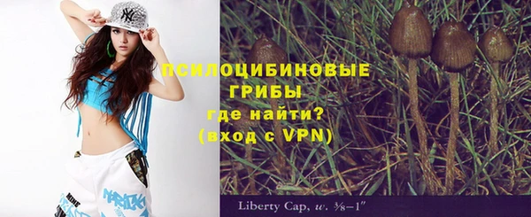 стаф Магадан