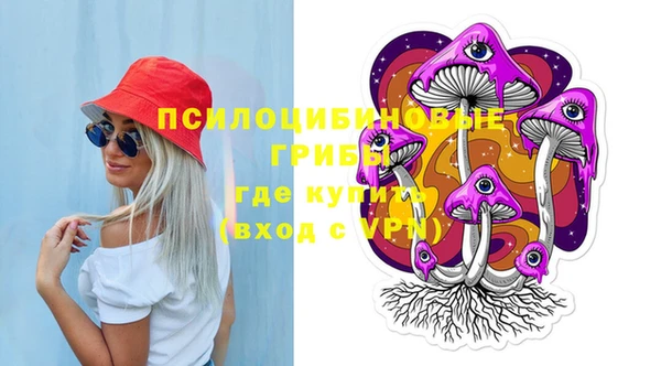 ECSTASY Магас