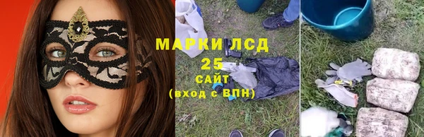 ECSTASY Магас