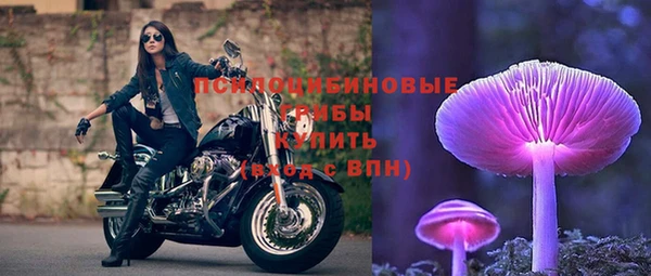 стаф Магадан