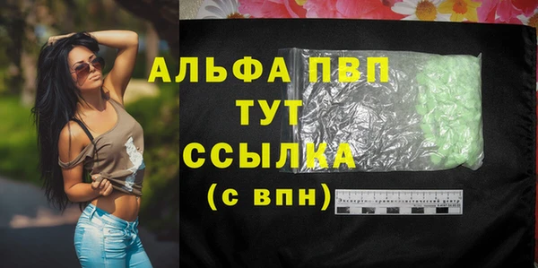 стаф Магадан