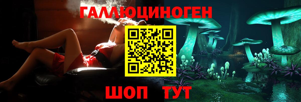 Псилоцибиновые грибы Cubensis  купить  сайты  Новоалтайск  Вход с VPN  Псилоцибиновые грибы прущие грибы 